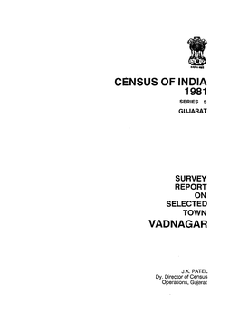 Survey Report on Selected Town Vadnagar, Part-XB