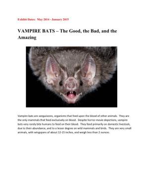 VAMPIRE BATS – the Good, the Bad, and the Amazing
