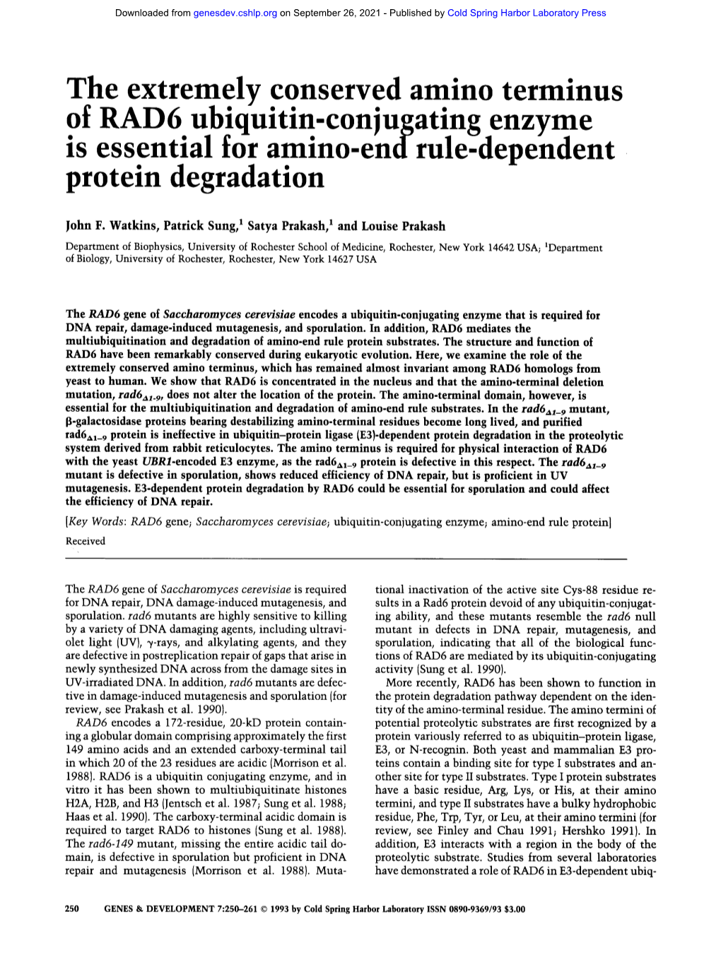 The Extremely Conserved Amino Terminus of RAD6 Ubiquitin-Conju: Atlng Enzyme Is Essential for Amino-Endgrule-Dependent Protein Degradation