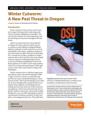 Winter Cutworm: a New Pest Threat in Oregon J