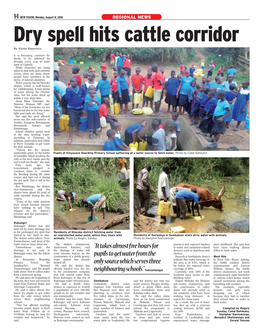 Dry Spell Hits Cattle Corridor by Vision Reporters