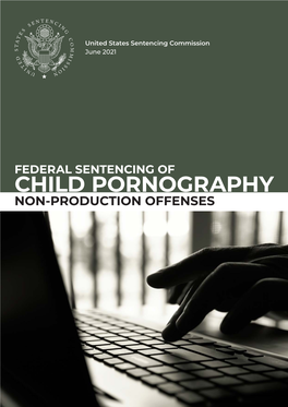 Federal Sentencing of Child Pornography: Non-Production Offenses I