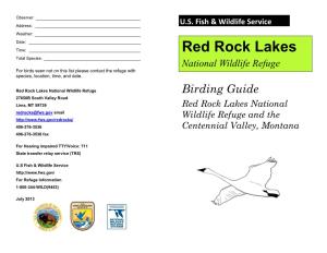 Red Rock Lakes Total Species: National Wildlife Refuge for Birds Seen Not on This List Please Contact the Refuge with Species, Location, Time, and Date