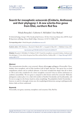 Search for Mesophotic Octocorals (Cnidaria, Anthozoa) and Their Phylogeny: I