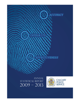 2013-Annual-Statistical-Report.Pdf