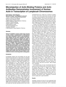 Microinjection of Actin-Binding Proteins and Actin Antibodies Demonstrates Involvement of Nuclear Actin in Transcription of Lampbrush Chromosomes