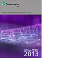 ANNUAL REPORT 2013 COVER Plasma Discharge in Synthetic Air