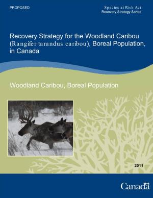 Recovery Strategy for the Woodland Caribou (Rangifer Tarandus Caribou), Boreal Population, in Canada
