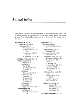 Author Index