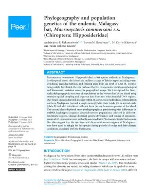 Phylogeography and Population Genetics of the Endemic Malagasy Bat, Macronycteris Commersoni S.S