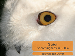 Strigi Searching Files in KDE4
