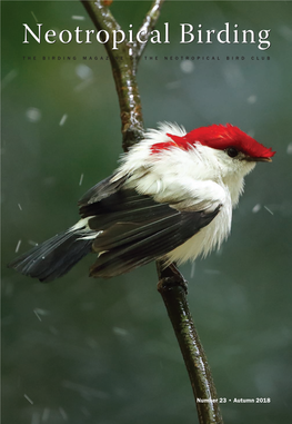 Neotropical Birdingbirding T H E B I R D I N G M a G a Z I N E O F T H E Neotropical B I R D C L U B