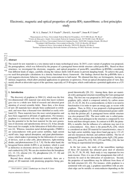 Electronic, Magnetic and Optical Properties of Penta-BN2 Nanoribbons: a ﬁrst Principles Study