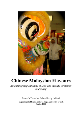 Chinese Malaysian Flavours an Anthropological Study of Food and Identity Formation in Penang