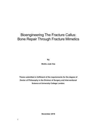 Bioengineering the Fracture Callus: Bone Repair Through Fracture Mimetics