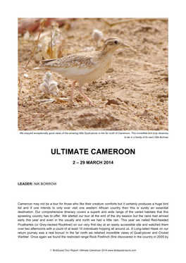 Ultimate Cameroon