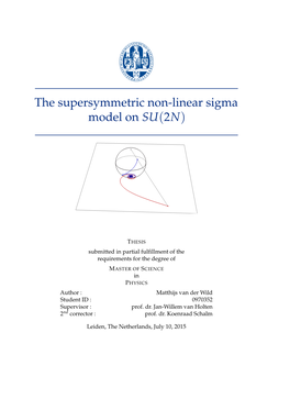 The Supersymmetric Non-Linear Sigma Model on SU (2N)