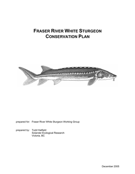 Fraser River White Sturgeon Conservation Plan