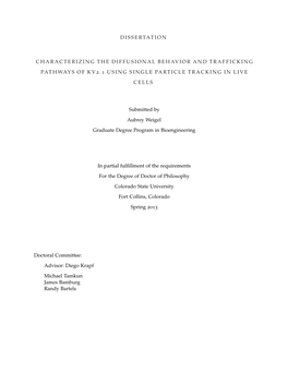 Dissertation Characterizing the Diffusional Behavior