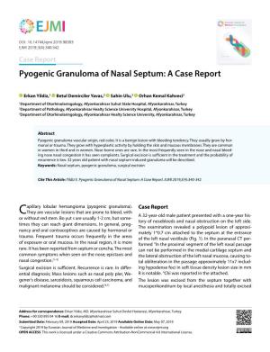 Pyogenic Granuloma of Nasal Septum: a Case Report