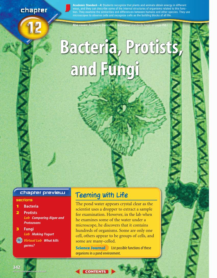 Chapter 12: Bacteria, Protists, and Fungi