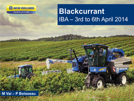 Blackcurrant IBA – 3Rd to 6Th April 2014