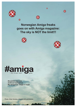 Amiga 1 - 2013 - 4Th Year - Issue 9 Guide