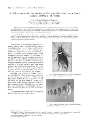 A Dichotomous Key for the Identification of the Cockroach Fauna (Insecta: Blattaria) of Florida