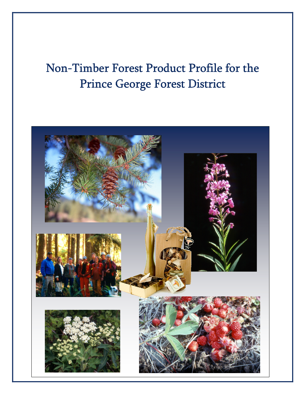 Non-Timber Forest Products Profile for the PG Regions