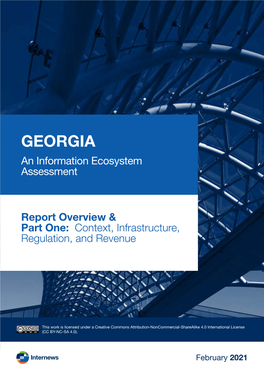 GEORGIA an Information Ecosystem Assessment