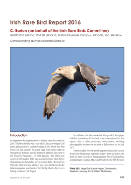 Irish Rare Bird Report 2016 C