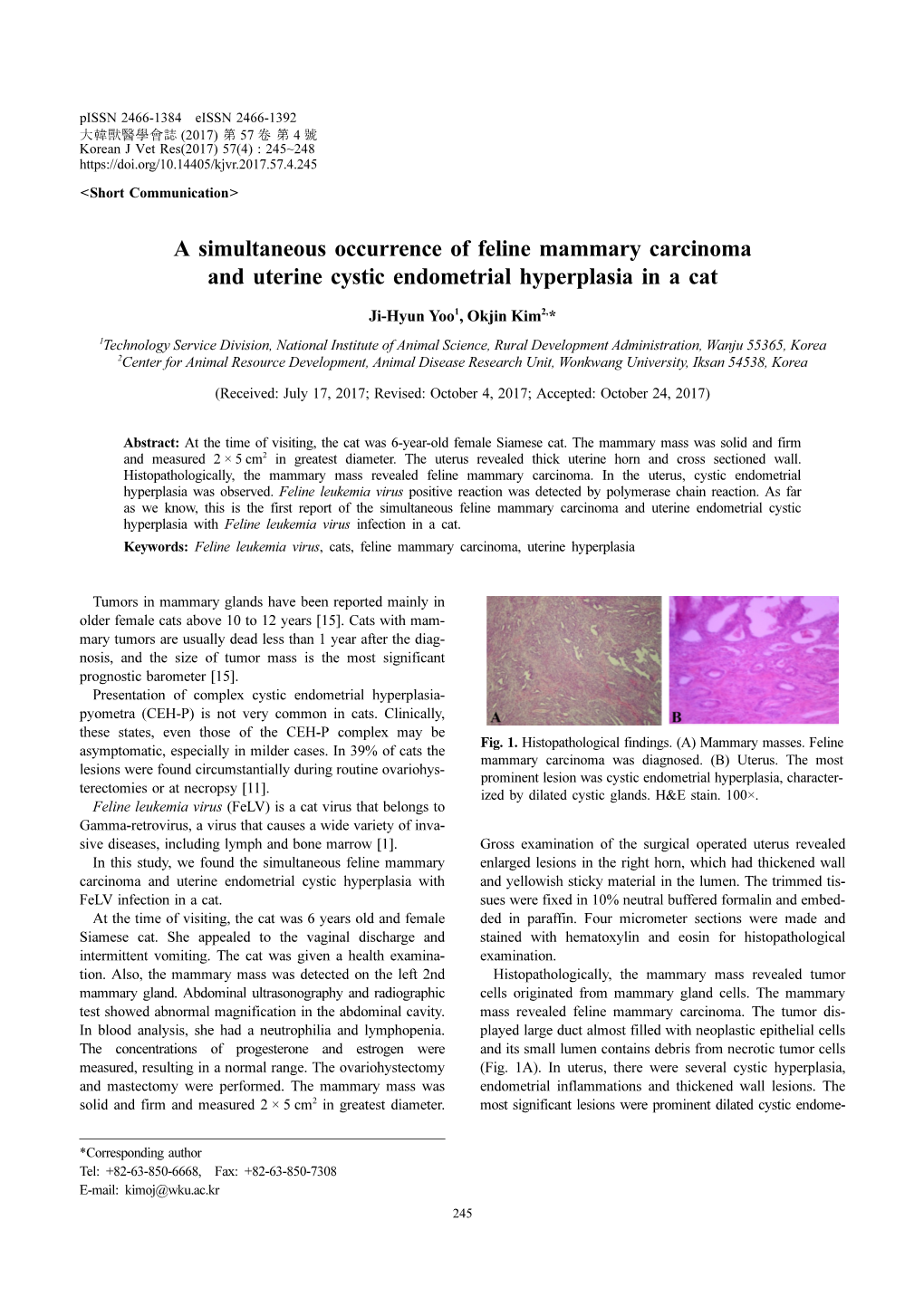 A Simultaneous Occurrence of Feline Mammary Carcinoma and Uterine Cystic Endometrial Hyperplasia in a Cat