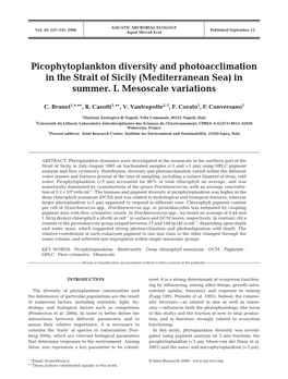 Picophytoplankton Diversity and Photoacclimation in the Strait of Sicily (Mediterranean Sea) in Summer