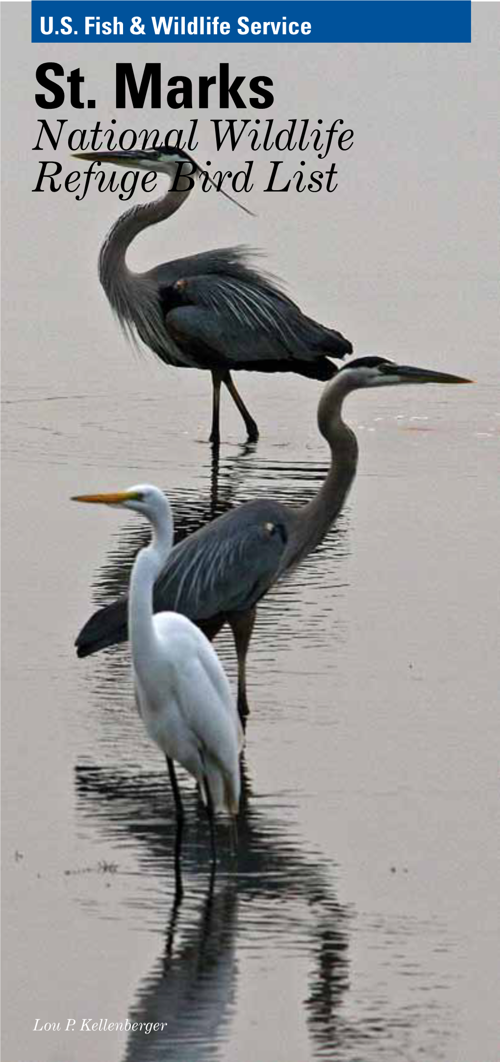 Refuge Bird List