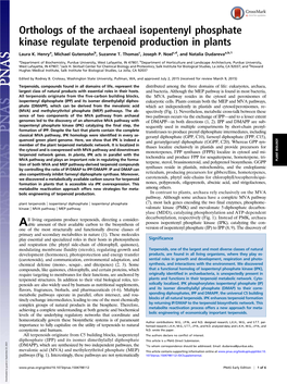 Orthologs of the Archaeal Isopentenyl Phosphate Kinase Regulate Terpenoid Production in Plants