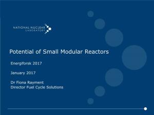 Potential of Small Modular Reactors
