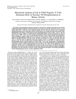 Dominant Role of Tyrosine 394 Phosphorylation in Kinase Activity