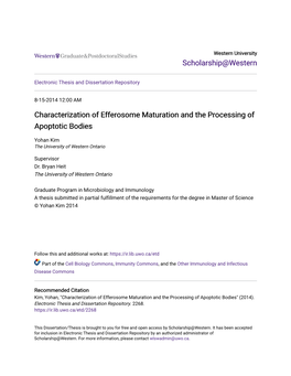 Characterization of Efferosome Maturation and the Processing of Apoptotic Bodies