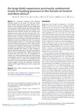 Do Large Birds Experience Previously Undetected Levels of Hunting Pressure in the Forests of Central and West Africa?