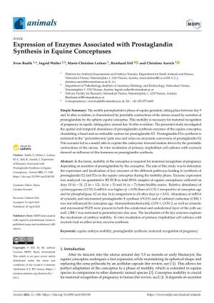Expression of Enzymes Associated with Prostaglandin Synthesis in Equine Conceptuses