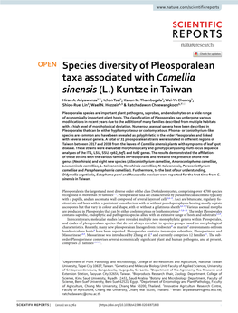 Species Diversity of Pleosporalean Taxa Associated with Camellia Sinensis (L.) Kuntze in Taiwan Hiran A