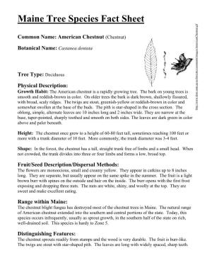 Maine Tree Species Fact Sheet