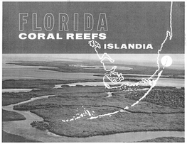 Florida Coral Reefs: Islandia