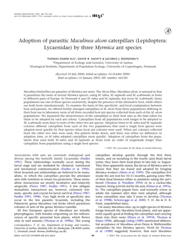 Adoption of Parasitic Maculinea Alcon Caterpillars (Lepidoptera: Lycaenidae) by Three Myrmica Ant Species