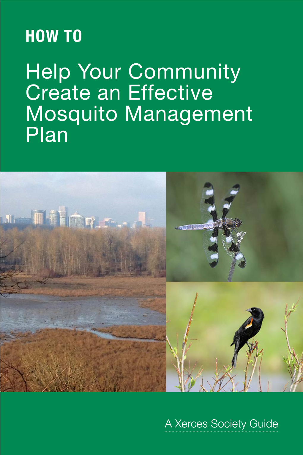 Help Your Community Create an Effective Mosquito Management Plan