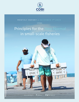 Principles for the New Normal in Small-Scale Fisheries