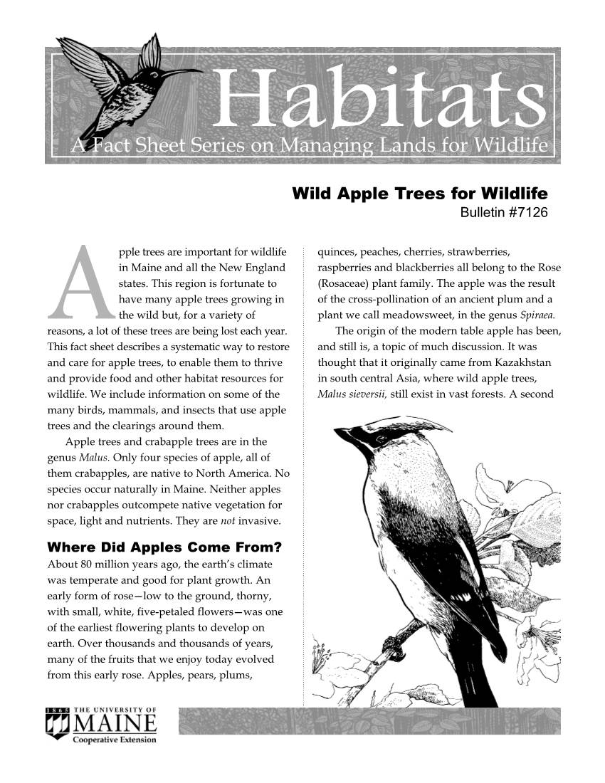 Wild Apple Trees for Wildlife Bulletin #7126