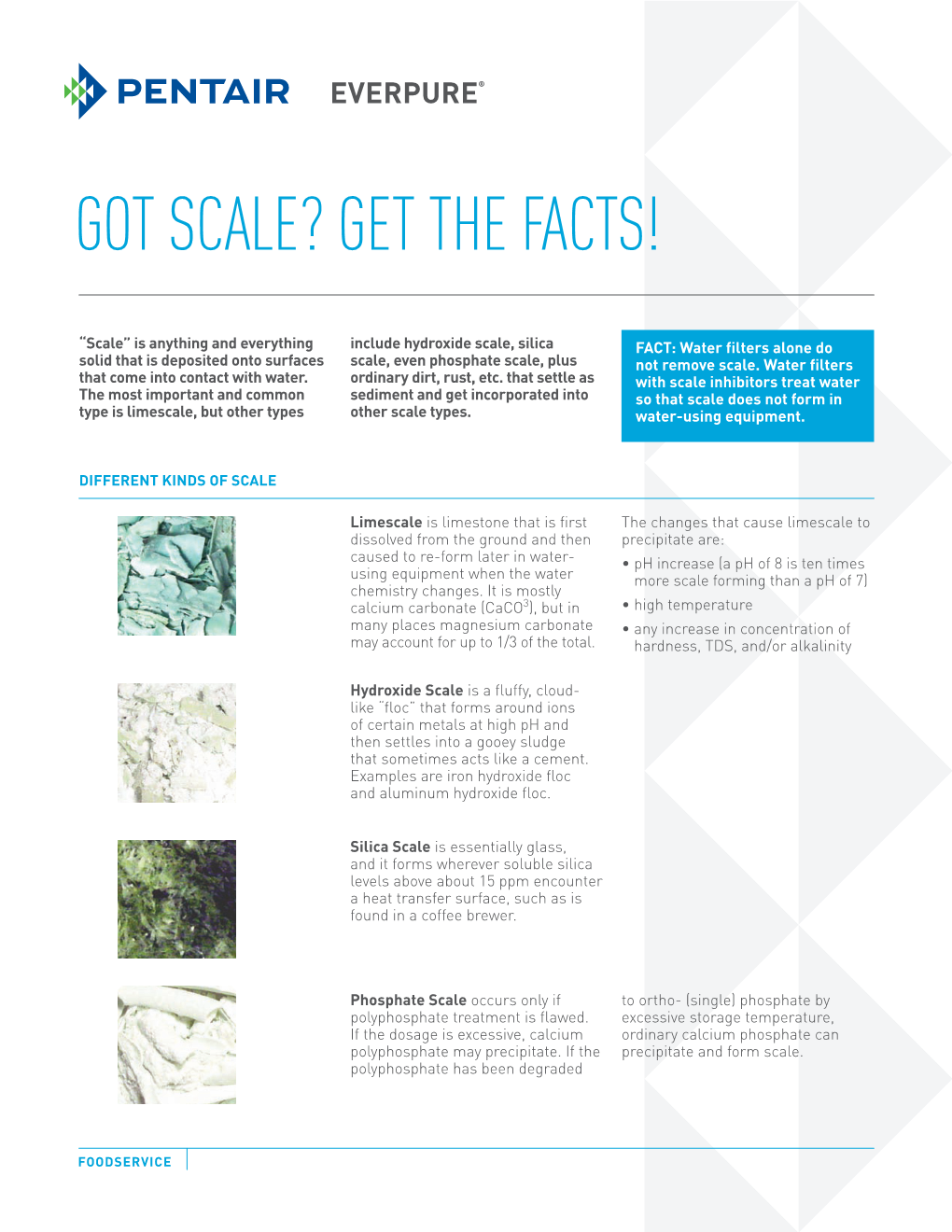 Got Scale? Get the Facts!