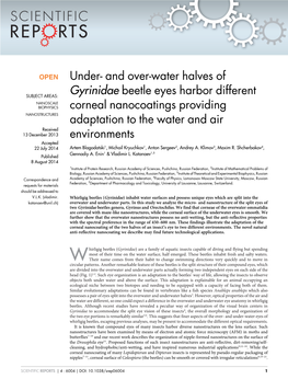 And Over-Water Halves of Gyrinidae Beetle Eyes Harbor Different Corneal