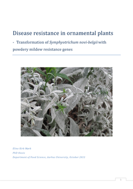 Disease Resistance in Ornamental Plants